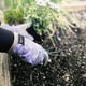 thumbnail image 5 of Guantes de jardinería de microfibra y silicona de Homegrown Watson Sparrow, 5 of 5