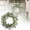 Green, variant on 23.62 Inch Artificial Eucalyptus Wreath with Green Leaves and White Big Berries, All Seasons Year Round Front Door Wreath for Spring Summer Winter,Home Wall Porch Window Holiday Decoration