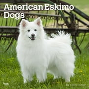 American Eskimo Dogs | 2024 12x24" (Hanging) Wall Calendar | BrownTrout