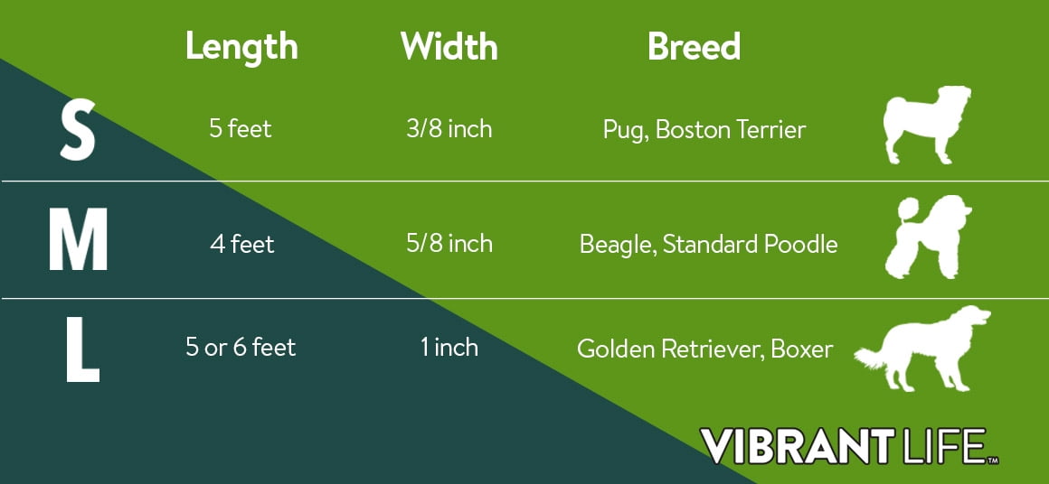 Vibrant Life 4' Nylon Metal Standard Dog Leash, Neon Green, Medium