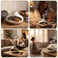 thumbnail image 5 of Palo Santo Holder and Ash Catcher Ceramic Sage Burner with Pine Mat, White Incense Holder for Yoga, 5 of 11