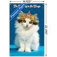 thumbnail image 3 of Keith Kimberlin - Kitten - Queen Wall Poster with Push Pins, 14.725" x 22.375", 3 of 6