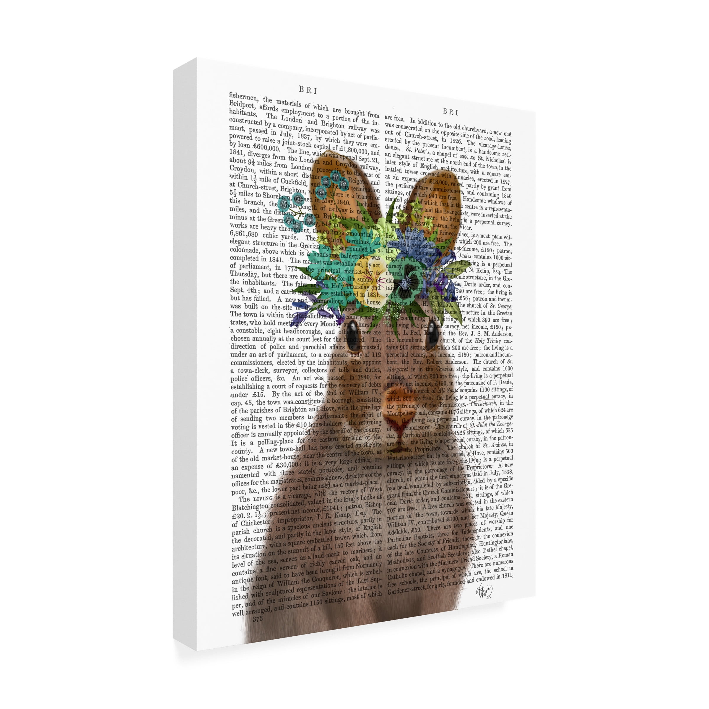 Fab Funky 'Rabbit Bohemian Book Print' Canvas Art