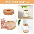 thumbnail image 5 of 1 Set Clear Glass Hydroponic Terrarium Planter Bottle with Lid, Moss Plant Holder for Indoor Gardening and Decoration, 5 of 6