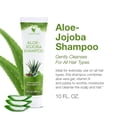 thumbnail image 2 of Champú Forever Living Aloe-Jojoba para todo el cabello, 300 ml, 2 of 6