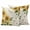 Beige, variant on 2 Pack Outdoor Waterproof Throw Pillow Covers,Watercolor Sunflower Bee Dragonfly Decorative Square Patio Pillowcases for Chair Couch Sofa 16x16in