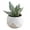 B, variant on Artificial Plants Set in Plastic Pots, Mini Fake Potted Greenery for Indoor Office Desk Decor, Home Decoration Gift with Faux Green Plants, No Watering Needed