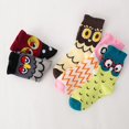 thumbnail image 2 of pares de calcetines divertidos y divertidos con diseño de animales, patrón de búho BANYUO Hogar, 2 of 5