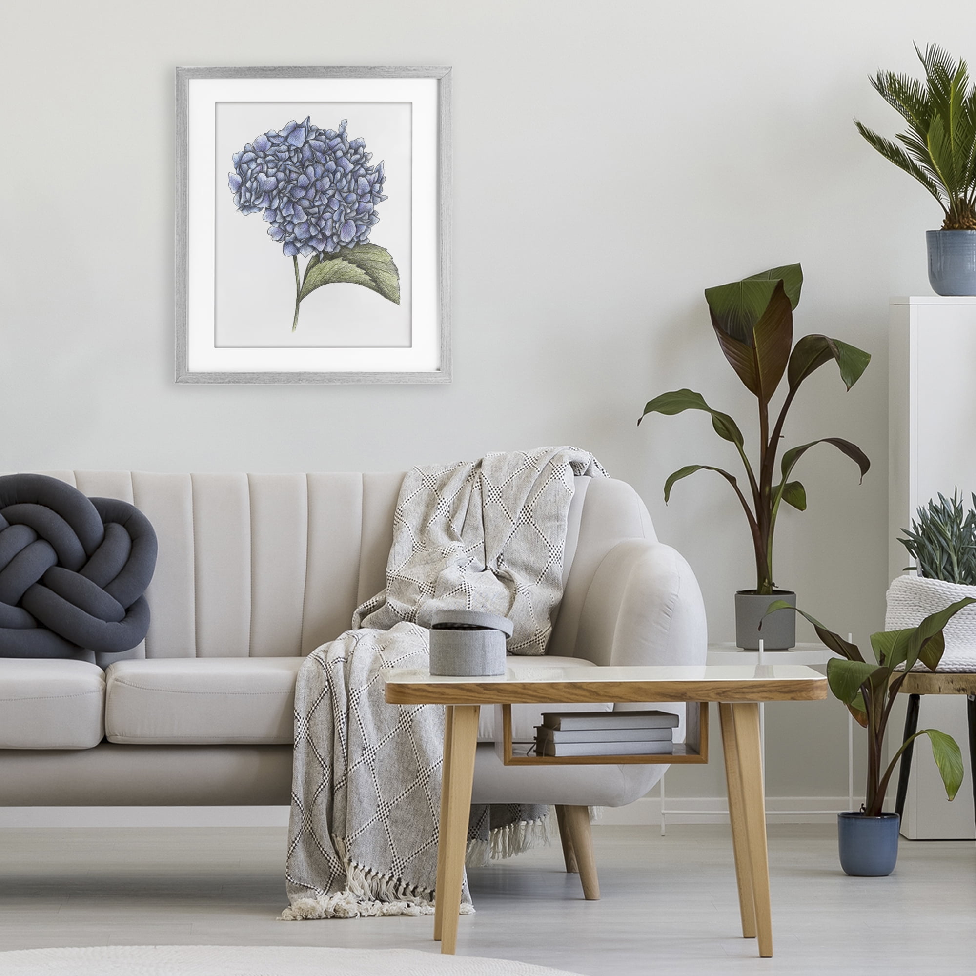 Hydrangea Sketch Blossom Gray Framed Print Under Glass, design by Cecilia Battaini