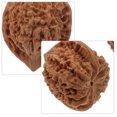 thumbnail image 4 of MasteelfCA 2pcs Walnut Massage Balls Handball Training Wild Walnut Health Ball Playthings, 4 of 8