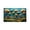 B, variante sur Tapis de Porte en Velours Floral Luxe Tapis en Laine pour Entrée et Salle de Bain (Saleté et Durable) Couverture Extérieure Chaude pour Canapé Petit Tapis de Classe Tapis Shaggy pour Chambre d'Enfants Moderne