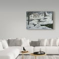 thumbnail image 3 of Trademark Fine Art 'Canadian Lynx' Canvas Art by Jeff Tift, 3 of 3