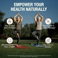 thumbnail image 4 of Pure By Nature Joint Support, Glucosamine with Chondroitin Turmeric MSM Boswellia Supplement, 270 Capsules, 4 of 6