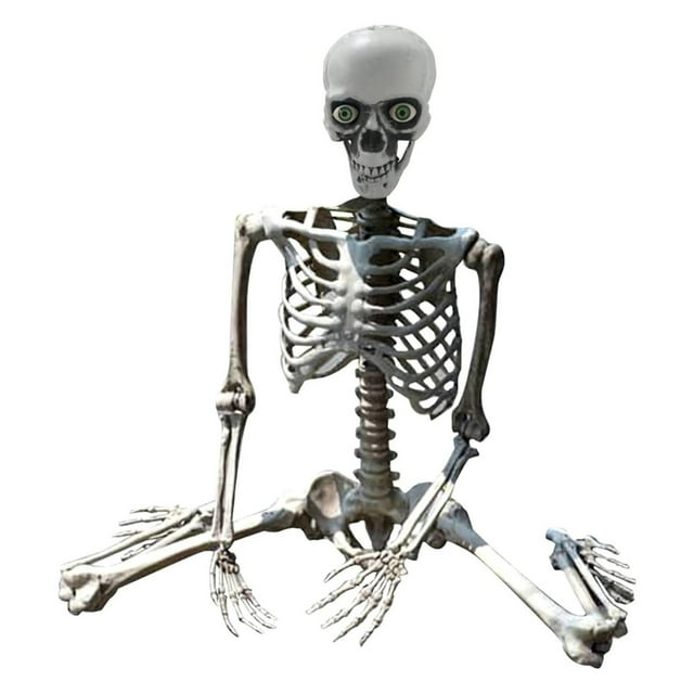 Ramiter Skeleton Prop Deco Skeleton Life Size Full Body Posable Joints Skeletons Human Full Size Hand Life Body Anatomy Model Decorations Outdoor