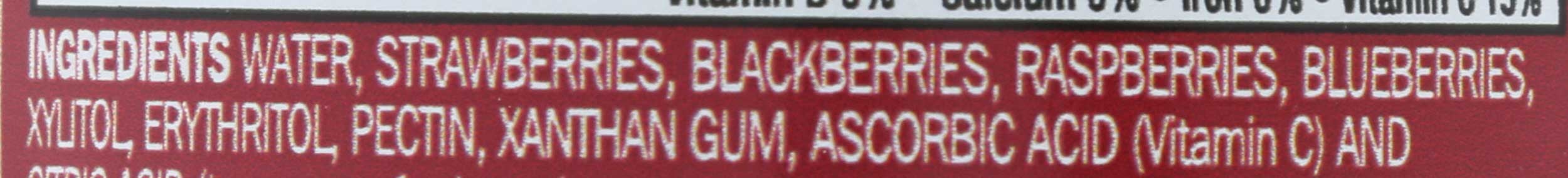 Natures Hollow Sugar Free Mountain Berry Jam, 10 Ounce -- 6 per Case.
