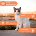 thumbnail image 7 of Petralyte Cat Electrolyte and Joint Supplement | for Tuna Lovers | 16 Packets, 7 of 7