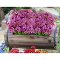 thumbnail image 5 of Sinhoon 18 Bundles Artificial Flowers Outdoor UV Resistant Faux Flowers No Fade Fake Plastic Plants Garden Porch Window Box Decorating ( Purple ), 5 of 7