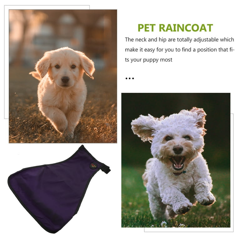 Dog raincoat shop covers belly