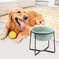 thumbnail image 4 of Elevated Large Dog Food Bowls - Raised Dog Bowl with Non Slip Stand - Heavy Weighted Ceramic Dog Feeding Bowl - Extra Wide Deep Dog Water Bowl - Pet Dishes for Medium to Big Dogs - 54 oz - 7 cups, 4 of 7