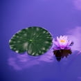 thumbnail image 3 of SHINYPASING 10Pcs Green EVA Floating Aquarium Plants for Stage and Dance Props, 3 of 7