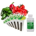 thumbnail image 1 of AeroGarden Salsa Garden Seed Pod Kit (6-Pod) 6-Pod, 1 of 5