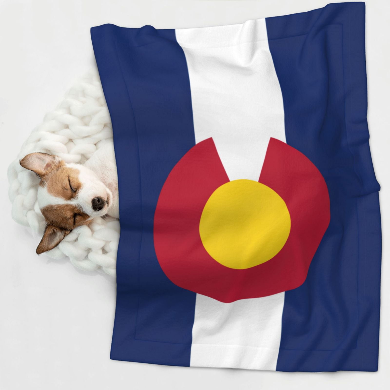 Flannel Throw Dog Blanket Flag Of Colorado Soft Warm Print Pet Blankets for Small Dog Cat Puppy