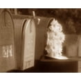 thumbnail image 2 of Scott Larson 14x12 White Modern Wood Framed Wall Art Titled - Special Delivery II, 2 of 5