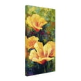 thumbnail image 2 of Trademark Fine Art 'Yellow Field Poppies' Canvas Art by Marion Rose, 2 of 3