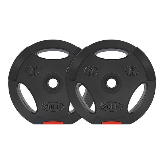 Vinyl Standard 1-Inch Plate Weight Plate for Strength Training and Weightlifting, 20-Pound, Pair