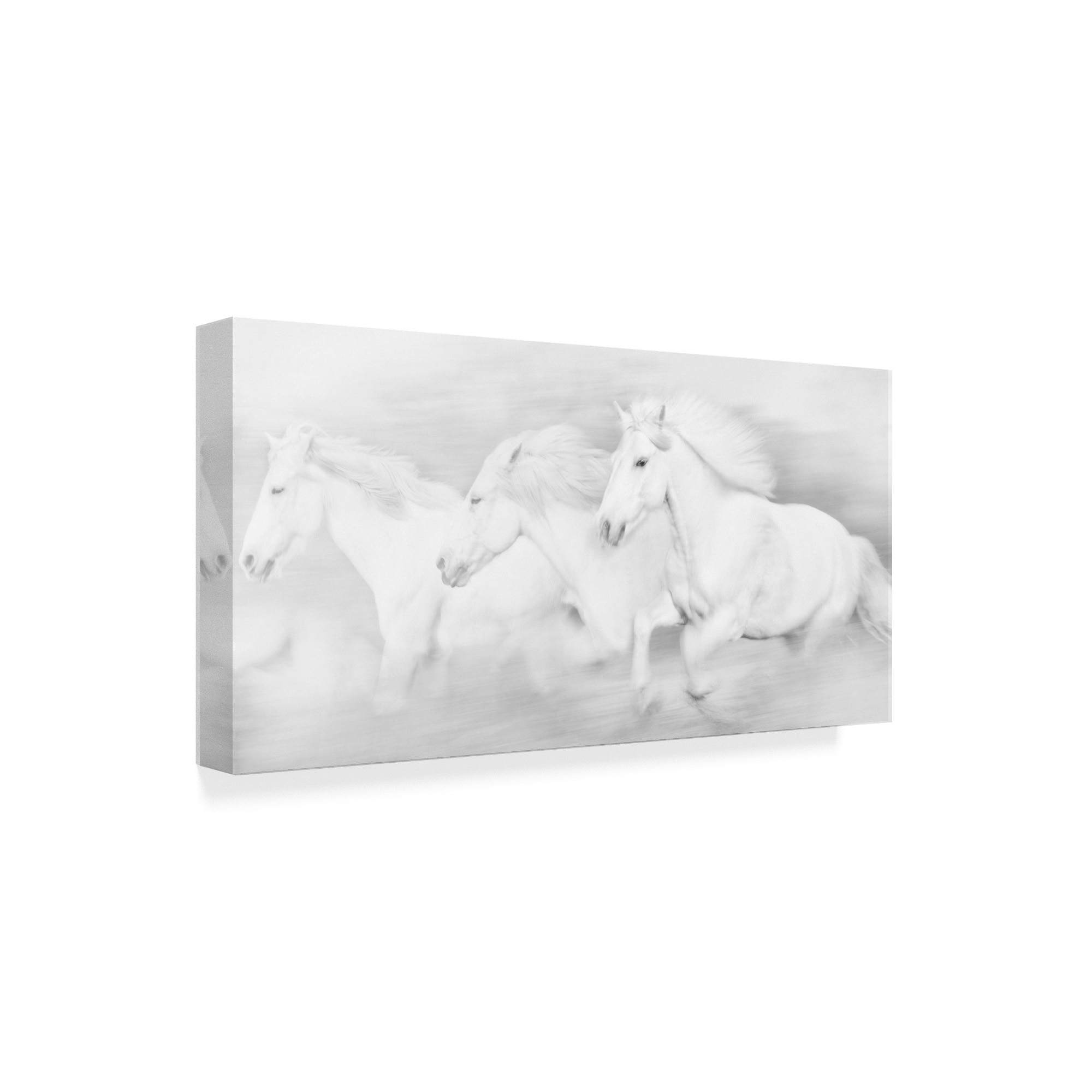 Trademark Fine Art 'All the White Horses' Canvas Art by PHBurchett