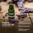 thumbnail image 3 of Gya Labs Organic Lavender Essential Oil - 0.34 fl oz - for Skin, Hair, Diffuser, Aromatherapy, DIY Candle Making Scents, 3 of 8