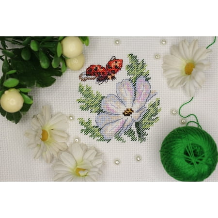 UPC: 4627167306033 | Cross Stitch Kit Cosmos SM-617 Flower White Easy Needlework By MP Studia Small Green White