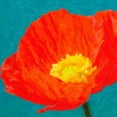 thumbnail image 2 of Greene, Taylor 20x20 Gold Ornate Wood Framed with Double Matting Museum Art Print Titled - Poppies On Blue 2, 2 of 4