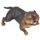 thumbnail image 5 of Estatuilla de perro American Bully Pitbull modelo de acción de Bulldog sólido en miniatura de simulación regalo de colección decorativa para amantes de los perros ANGGREK  Otros, 5 of 8