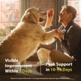 thumbnail image 6 of PRN Pharmacal Duralactin Joint Health Supplement Chews for Dog and puppies, Vanilla Flavor, 60 Count, 6 of 8