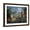 Brown Frame, variant on Art.com Moonlight Splendor Giclee Print by Nicky Boehme, 16" x 12"