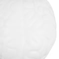 thumbnail image 2 of Pelota antiestrés con forma de cerebro de poliuretano, juguete blando y resistente. Ideal para ejercitar las manos y relajarse. Un juguete divertido y antiestrés., 2 of 8