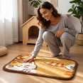 thumbnail image 6 of Cute Orange White Cat Print Doormat, Soft Absorbent Cartoon Kitten Floor Mat, Non Slip Washable Entryway Rug for Bedroom Living Room Pet Home Decor, 6 of 7