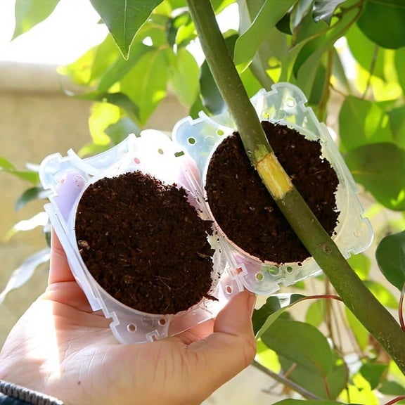 2-Inch Plant Rooting Device - 10Pcs Reusable Air Layering Propagation Balls, High Pressure Growing Box for Grafting (Transparent)