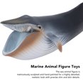thumbnail image 3 of Sea Marine Animal Figure Toys, Simulation Fine Details Exquisite Blue Whale Figure  For Home Decor For Collection, 3 of 8