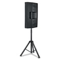 thumbnail image 3 of Bafle de 15' con aro RGB Audiobahn FORTE15, 3 of 8