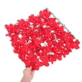 thumbnail image 3 of WEUVEB Pantalla De Plantas Simuladas Rojas Ideal Para Privacidad Y En Exteriores, 3 of 8