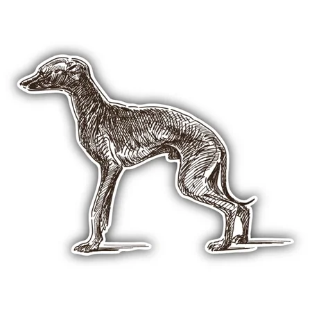 DOPASTICKER Italian Greyhound Dog Sketch Art Decor Sticker Decal Phone Decal Water Bottle Stickers Cars Stickers Water Bottle Stickers For Kids