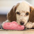 thumbnail image 3 of Jouet de Protection Dentaire pour Chiot Portable en Forme de Pantoufle Jouet à Mâcher Fourniture pour Animaux, 3 of 7