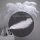 thumbnail image 3 of 10 Pieces White Natural Ostrich Feather 20-25cm Wedding DIY, 3 of 5