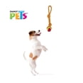 thumbnail image 2 of Juguete para Perro Fancy Pets de Cuerda con Pelota, 2 of 3