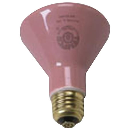 

Accessories - (250 watt) Ceramic Bulb - each