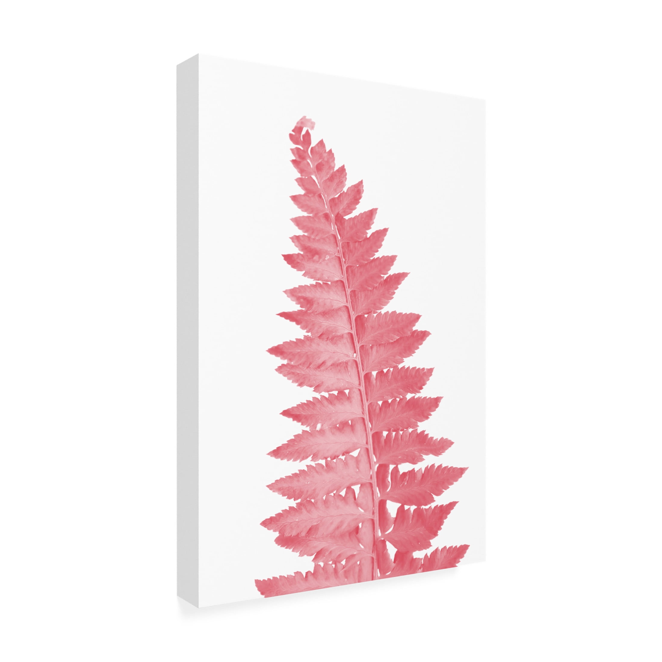 Trademark Fine Art Rosana Laiz Blursbyai Pink fern leaf Canvas Wall Art