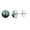 Labradorite, variant on Natural Oyster Copper Turquoise 925 Sterling Silver Post Stud Earrings for Women - December Birthstone Spiny Stone Silver Plated Jewelry - Birthday Gift for Her