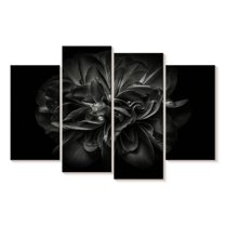Elephant Stock Backyard Flowers Bw Iii Wall Art - Horizontal Multi Panel Canvas - Living Room Wall Decor - Floral And Botanical Multi Panel - Black And Gray Decor By Brian Carson - 43" x 27"
